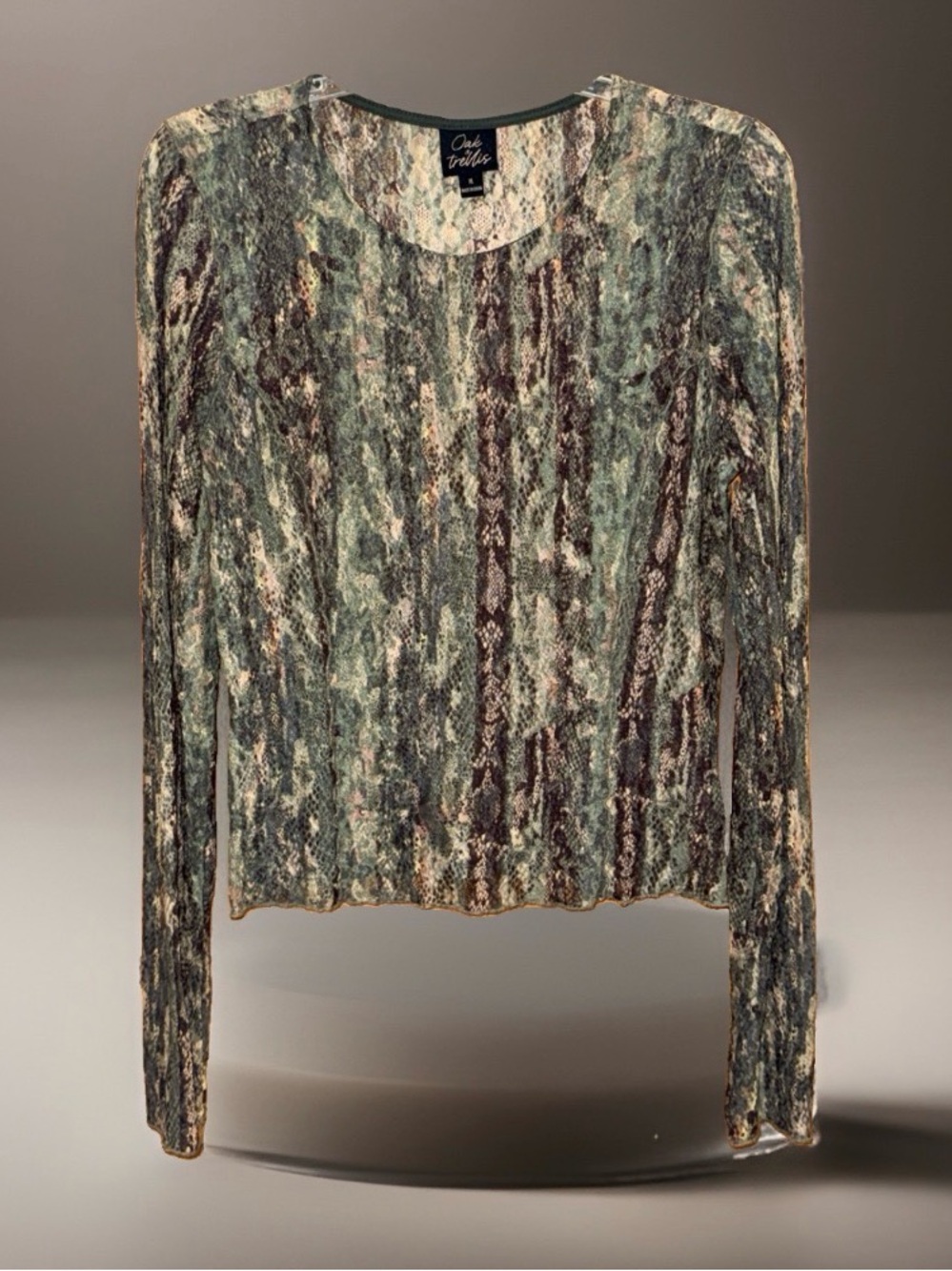 Oak & Trellis Sheer Crinkle Scoop Neck Long Sleeve Top in Green & Brown-XL-EC